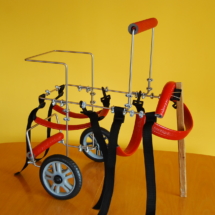 Wózek rehabilitacyjny średni z uchwytem pomagającym również łapom przednim